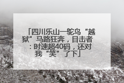 四川乐山一鸵鸟“越狱”马路狂奔，目击者：时速超40码，还对我“笑”了下