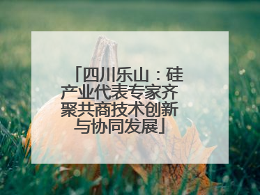 四川乐山：硅产业代表专家齐聚共商技术创新与协同发展
