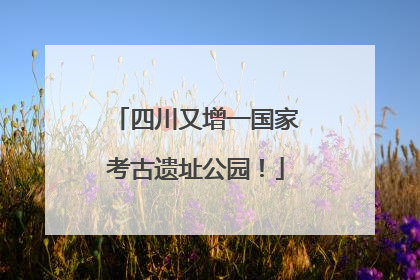 四川又增一国家考古遗址公园！