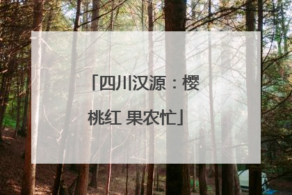 四川汉源：樱桃红 果农忙