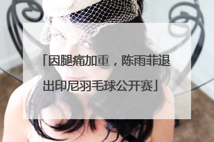 因腿痛加重，陈雨菲退出印尼羽毛球公开赛