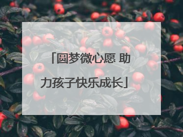 圆梦微心愿 助力孩子快乐成长