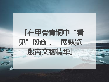在甲骨青铜中“看见”殷商，一展纵览殷商文物精华