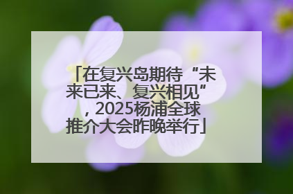 在复兴岛期待“未来已来、复兴相见”，2025杨浦全球推介大会昨晚举行