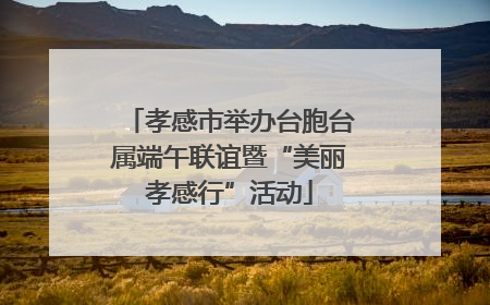孝感市举办台胞台属端午联谊暨“美丽孝感行”活动