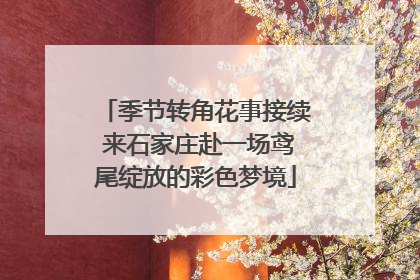 季节转角花事接续 来石家庄赴一场鸢尾绽放的彩色梦境