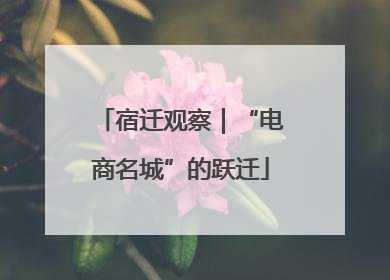 宿迁观察｜“电商名城”的跃迁