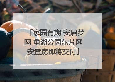 家园有期 安居梦圆 龟湖公园东片区安置房即将交付