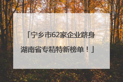 宁乡市62家企业跻身湖南省专精特新榜单！