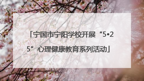 宁国市宁阳学校开展“5•25”心理健康教育系列活动
