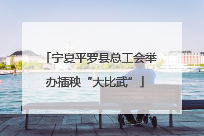 宁夏平罗县总工会举办插秧“大比武”