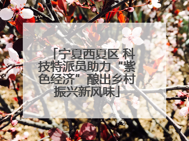 宁夏西夏区 科技特派员助力“紫色经济”酿出乡村振兴新风味