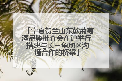 宁夏贺兰山东麓葡萄酒品鉴推介会在沪举行 搭建与长三角地区沟通合作的桥梁