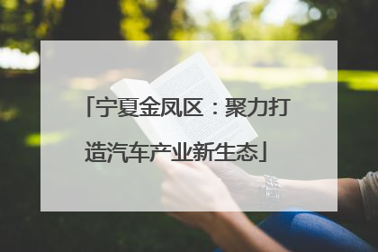 宁夏金凤区：聚力打造汽车产业新生态