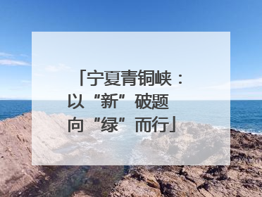 宁夏青铜峡：以“新”破题 向“绿”而行
