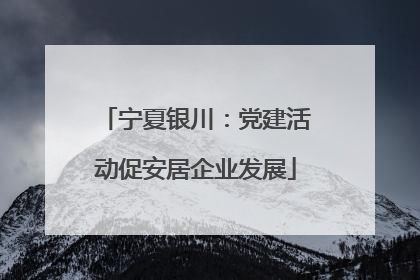 宁夏银川：党建活动促安居企业发展