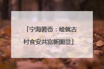 宁海箬岙：绘就古村食安共富新图景