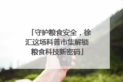 守护粮食安全，徐汇这场科普市集解锁粮食科技新密码