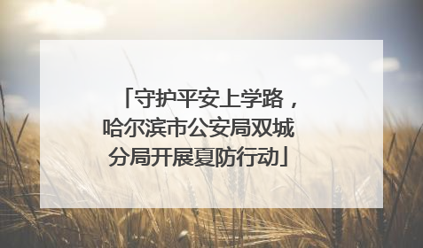 守护平安上学路，哈尔滨市公安局双城分局开展夏防行动