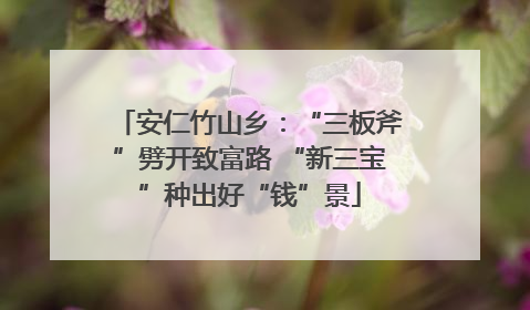安仁竹山乡：“三板斧”劈开致富路 “新三宝”种出好“钱”景