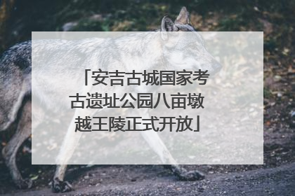 安吉古城国家考古遗址公园八亩墩越王陵正式开放