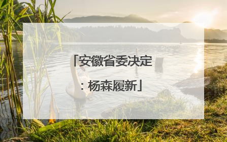 安徽省委决定：杨森履新