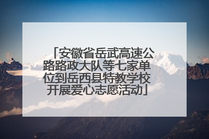 安徽省岳武高速公路路政大队等七家单位到岳西县特教学校开展爱心志愿活动