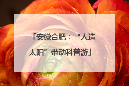 安徽合肥：“人造太阳”带动科普游