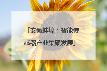 安徽蚌埠：智能传感器产业集聚发展