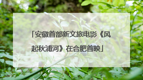 安徽首部新文旅电影《风起秋浦河》在合肥首映