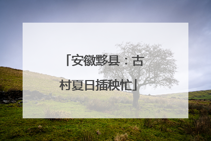 安徽黟县：古村夏日插秧忙