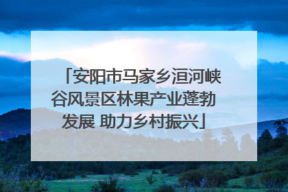 安阳市马家乡洹河峡谷风景区林果产业蓬勃发展 助力乡村振兴