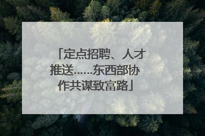 定点招聘、人才推送……东西部协作共谋致富路