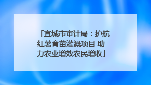 宜城市审计局：护航红薯育苗灌溉项目 助力农业增效农民增收