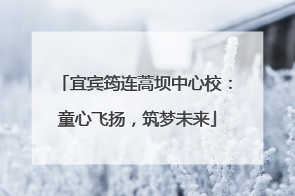 宜宾筠连蒿坝中心校：童心飞扬，筑梦未来