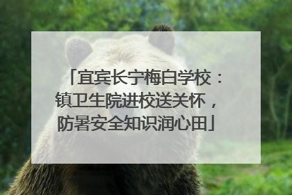 宜宾长宁梅白学校：镇卫生院进校送关怀，防暑安全知识润心田