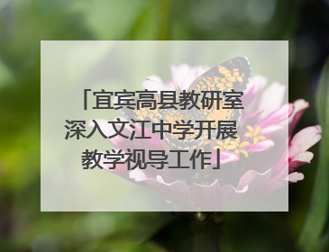宜宾高县教研室深入文江中学开展教学视导工作