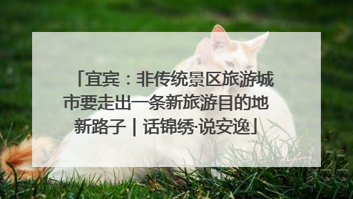 宜宾：非传统景区旅游城市要走出一条新旅游目的地新路子｜话锦绣·说安逸