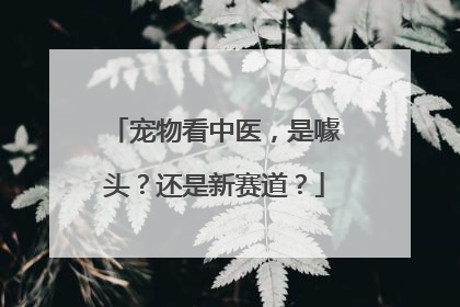 宠物看中医，是噱头？还是新赛道？