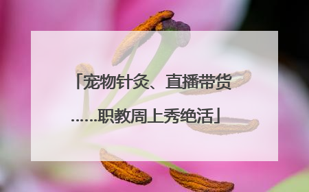 宠物针灸、直播带货……职教周上秀绝活