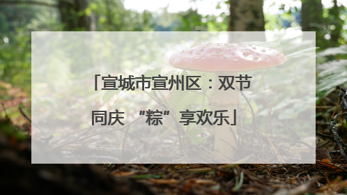 宣城市宣州区：双节同庆 “粽”享欢乐