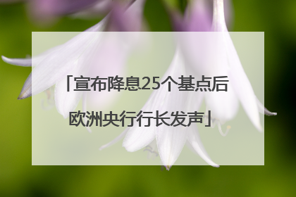宣布降息25个基点后 欧洲央行行长发声
