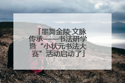 墨舞金陵·文脉传承——书法研学暨“小状元书法大赛”活动启动了