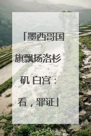 墨西哥国旗飘扬洛杉矶 白宫：看，罪证