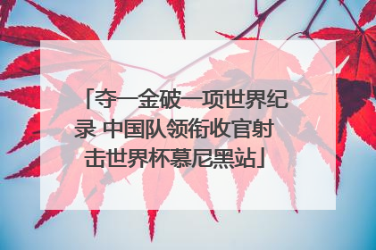 夺一金破一项世界纪录 中国队领衔收官射击世界杯慕尼黑站