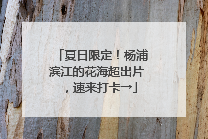 夏日限定！杨浦滨江的花海超出片，速来打卡→