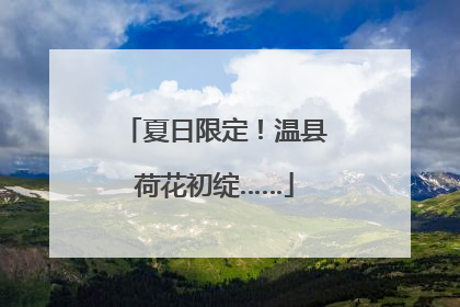 夏日限定！温县荷花初绽……