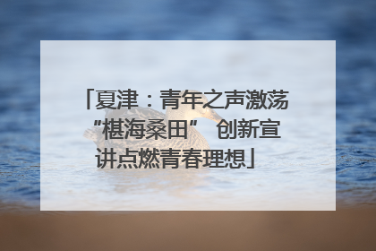 夏津：青年之声激荡“椹海桑田” 创新宣讲点燃青春理想