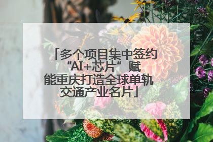 多个项目集中签约 “AI+芯片”赋能重庆打造全球单轨交通产业名片