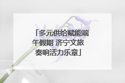 多元供给赋能端午假期 济宁文旅奏响活力乐章